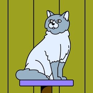 Meet your Posher, Sheyla